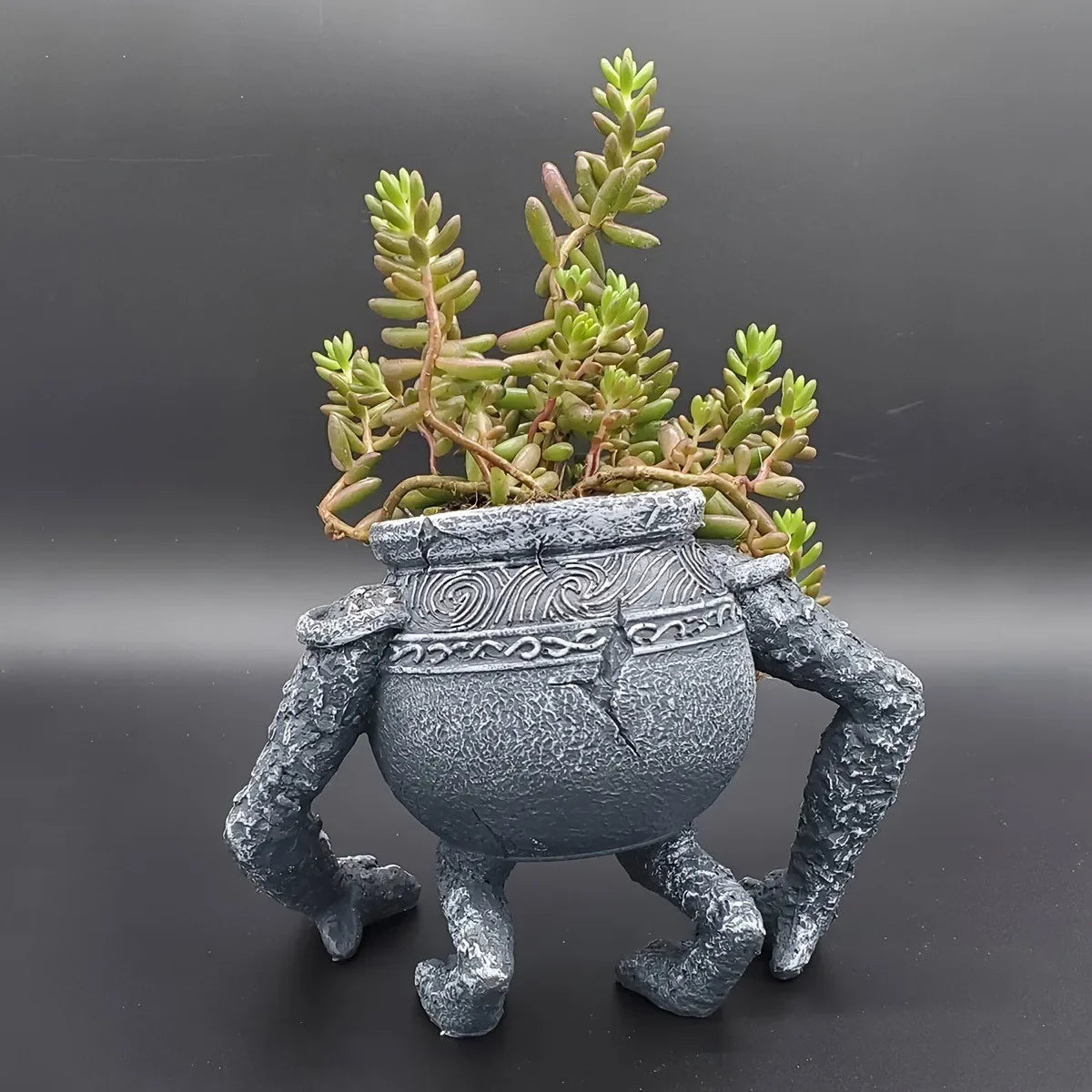 Flower Pot Poison King Ding Gardening Planting Patio Planter Decorative Eldon French Ring Perimeter Warrior Pot Alexander Jar